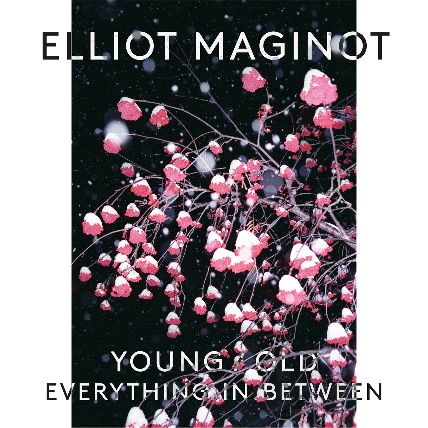 Young Old Everything In Between
